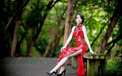 车文过程文字长图